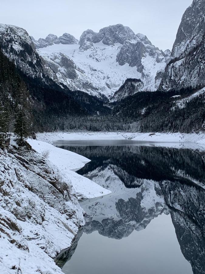 Dachstein Mountainview Gosau Lejlighed Eksteriør billede