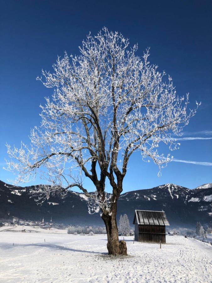 Dachstein Mountainview Gosau Lejlighed Eksteriør billede