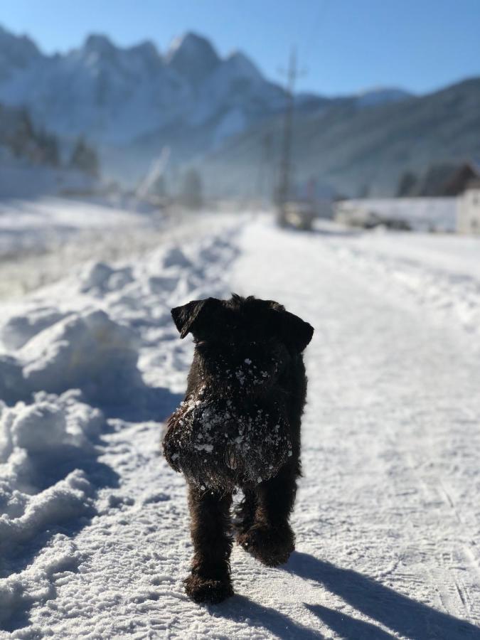Dachstein Mountainview Gosau Lejlighed Eksteriør billede