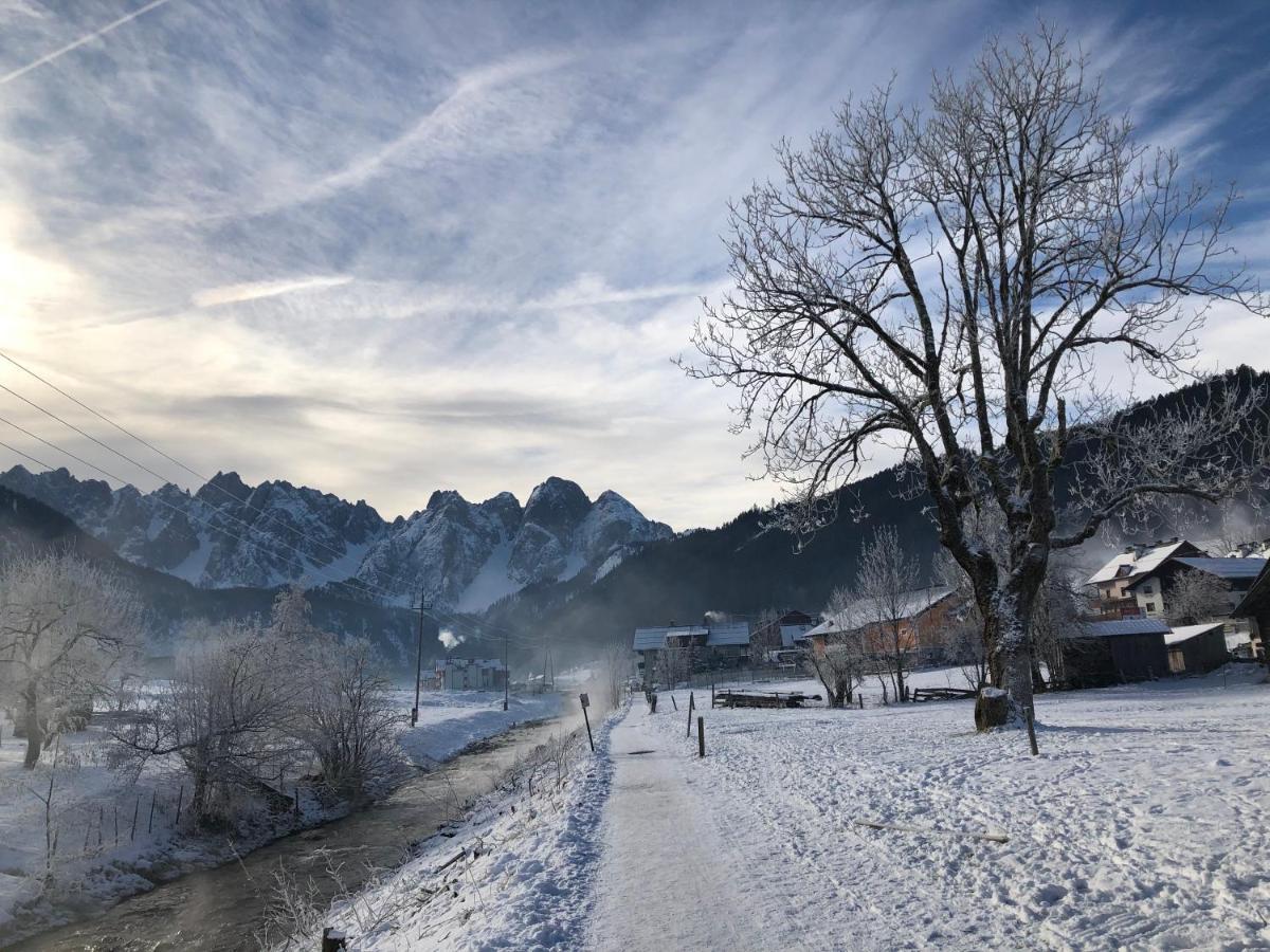 Dachstein Mountainview Gosau Lejlighed Eksteriør billede