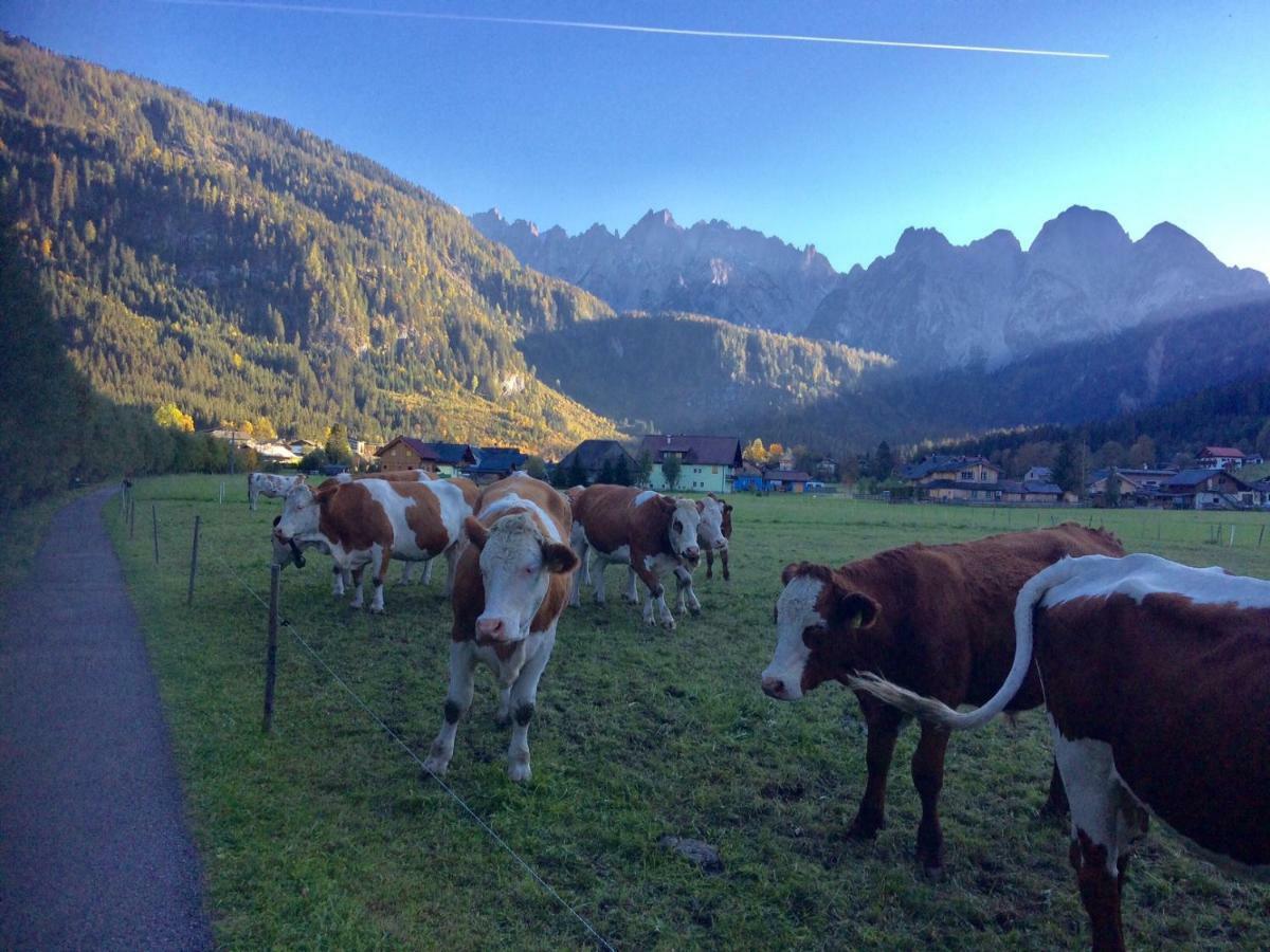 Dachstein Mountainview Gosau Lejlighed Eksteriør billede