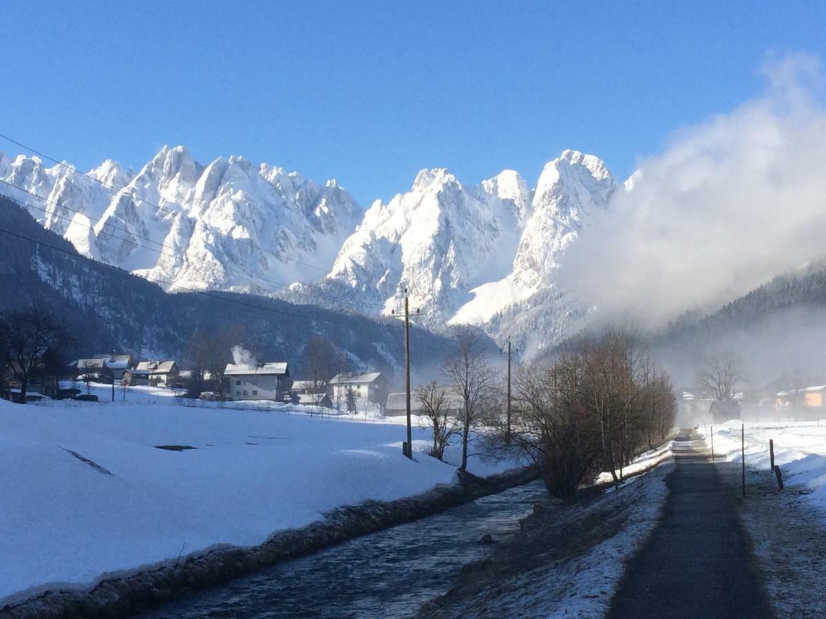 Dachstein Mountainview Gosau Lejlighed Eksteriør billede