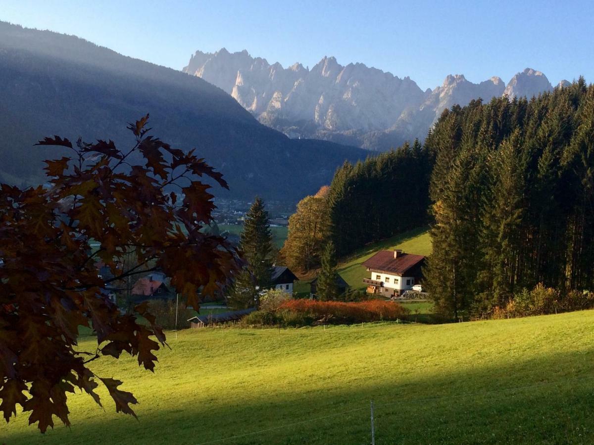 Dachstein Mountainview Gosau Lejlighed Eksteriør billede