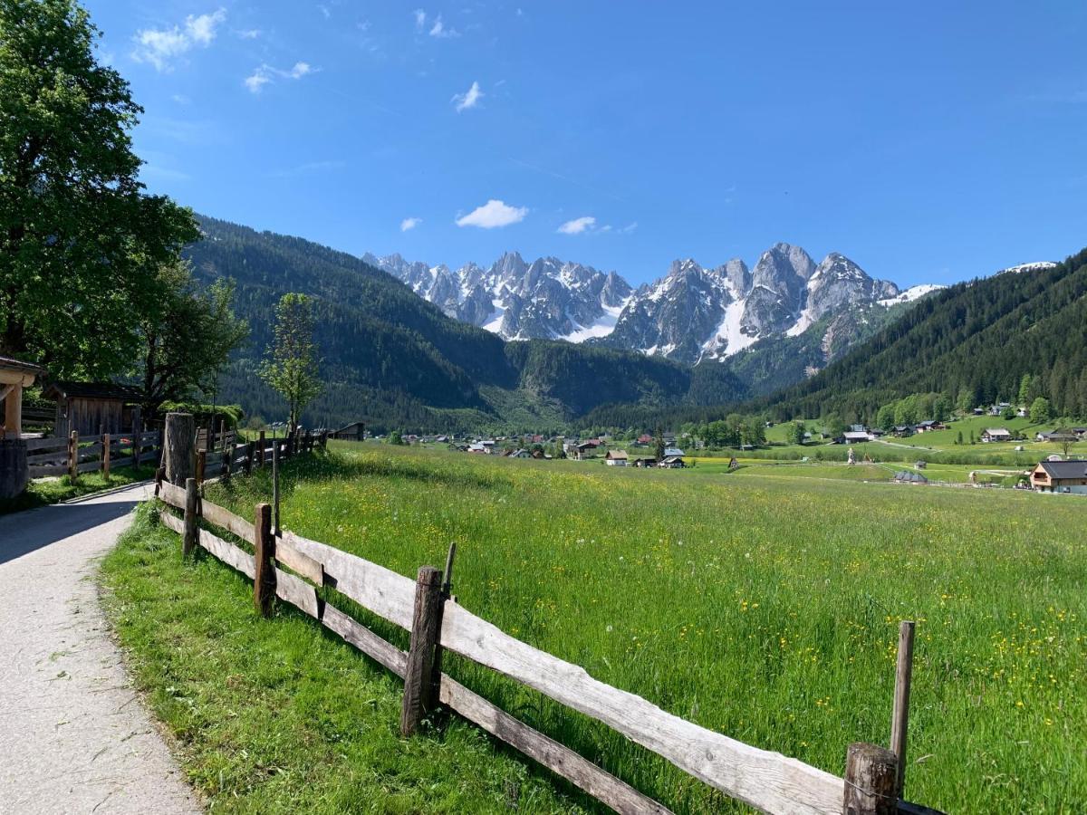 Dachstein Mountainview Gosau Lejlighed Eksteriør billede